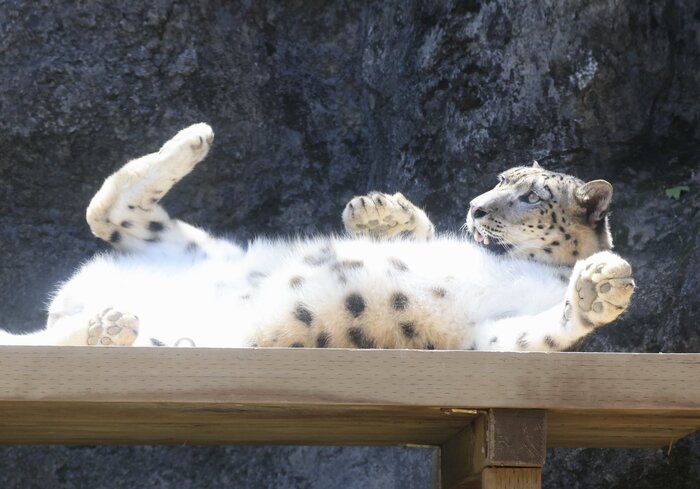 А мы такие загораем!