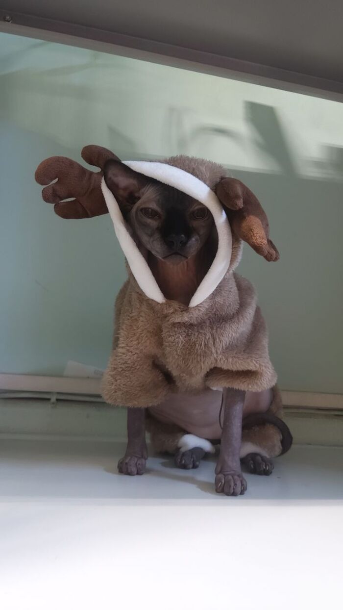 ����� ��� �������?