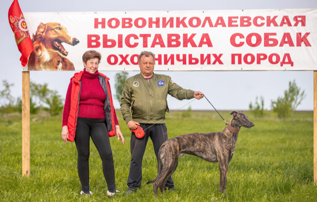 Изображение 2