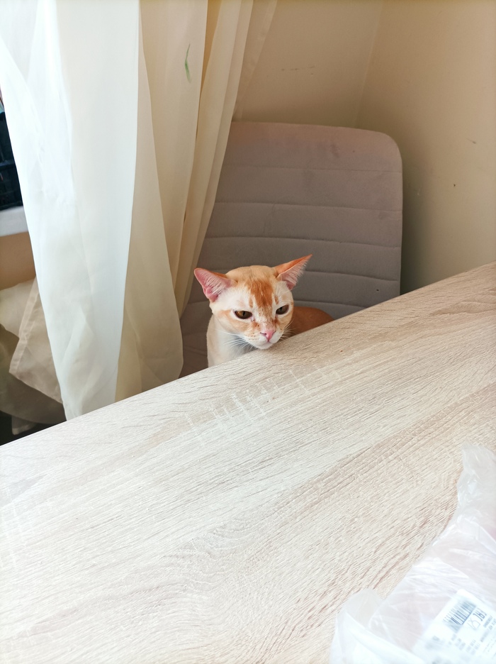 Когда мама на диете