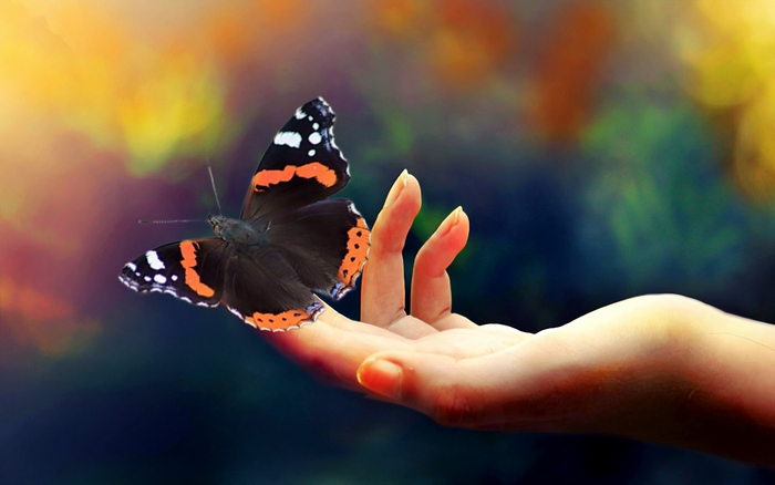 �������