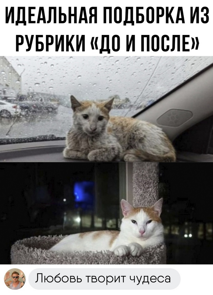    , ,  , -