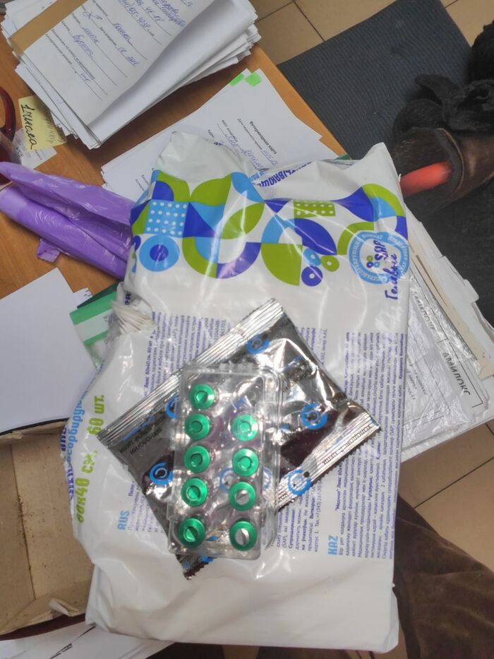 Кто-то подкинул на въезд в СНТ в коробке. Пятерых. Только что забрала их Кот, Спасение животных, Дача, Лето, Видео, Вертикальное видео, Длиннопост, Котята