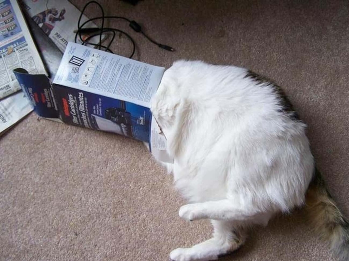   , , 
