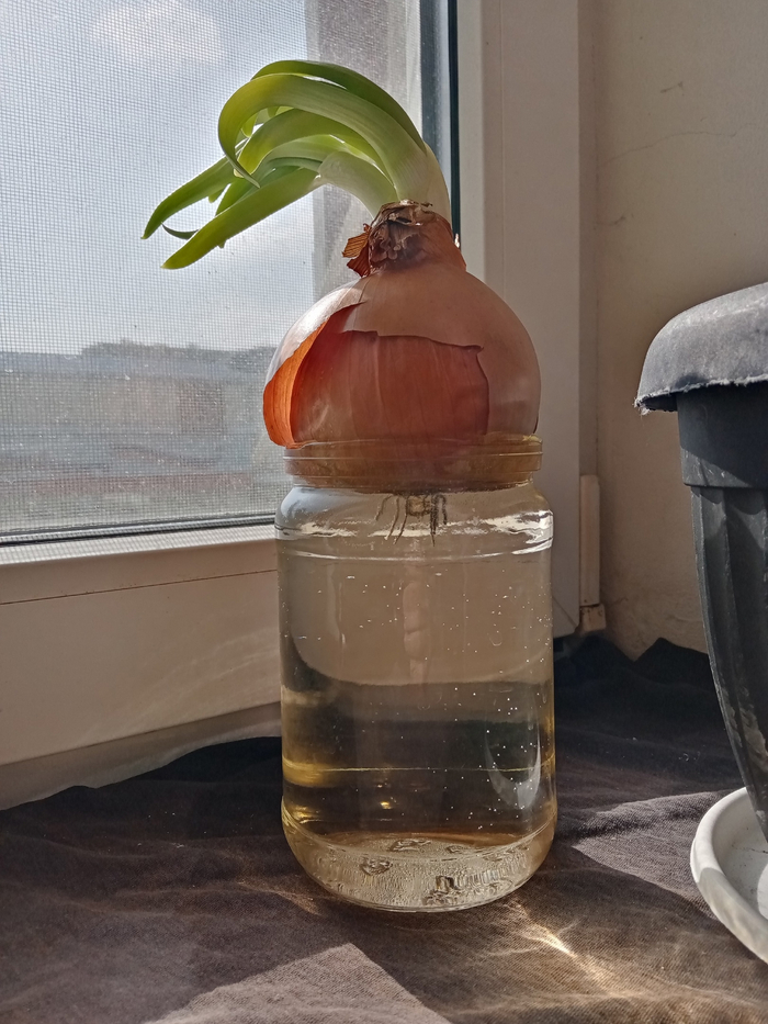 �������� �������������� ���������