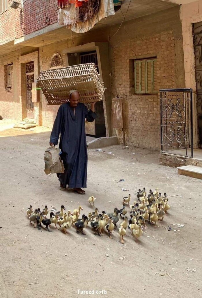 ���-���-���,��� �������!