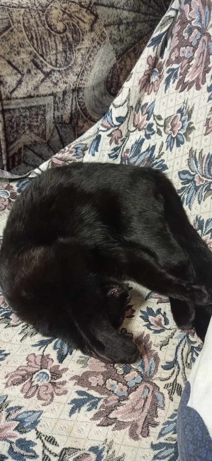 �������� ����� � ����