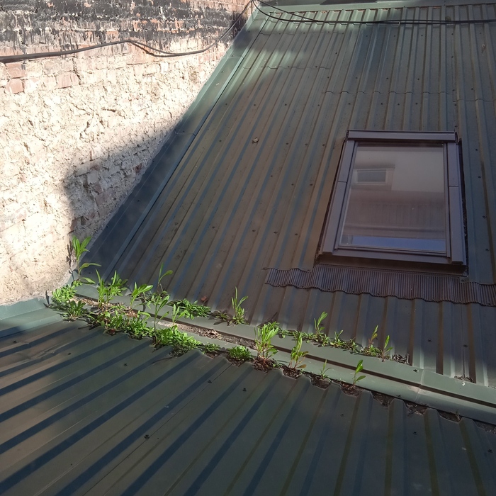 � � ��� �� �����...