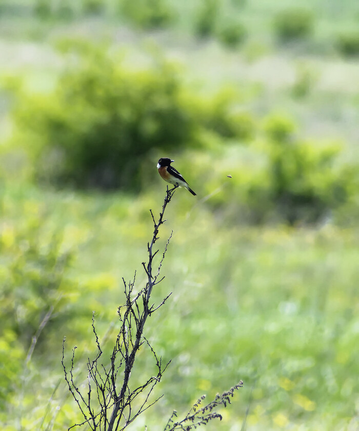 Мой марафон | Пикабу