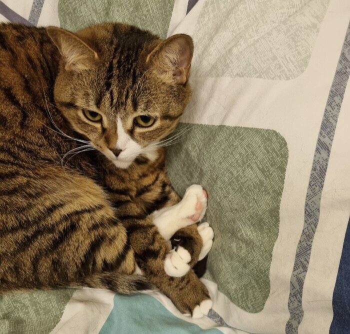 ���� ����������!