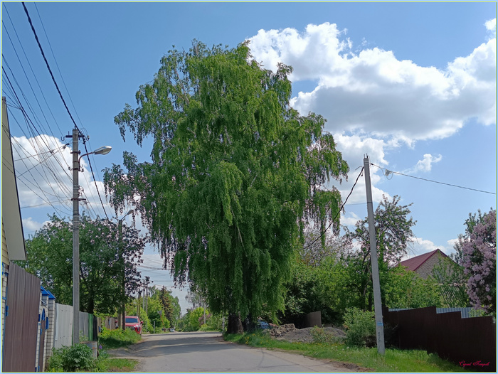 Тихие улочки | Пикабу