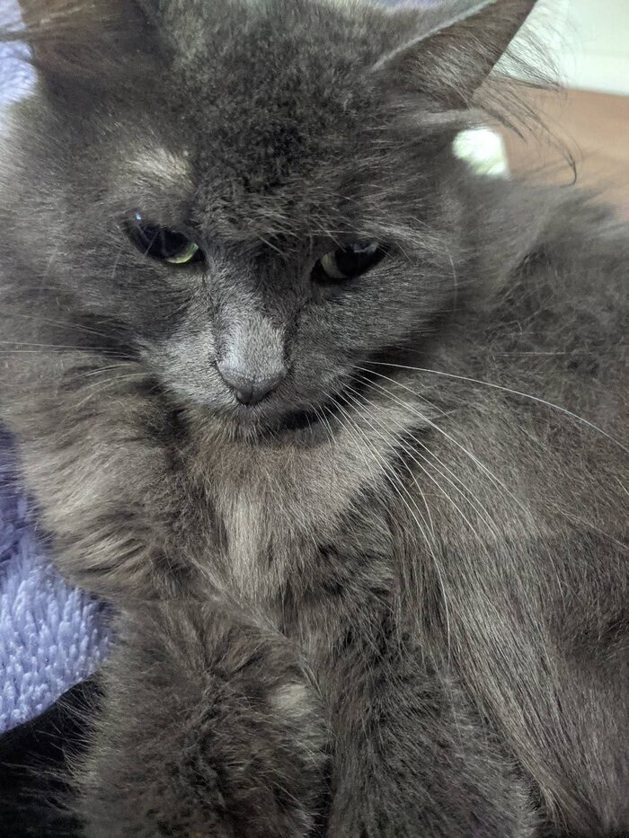 Спи спокойно Брунгильда