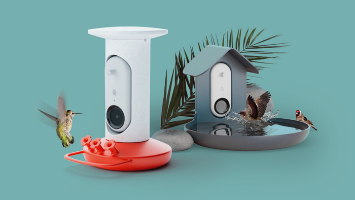 Bird Buddy              ,  ,  , , 