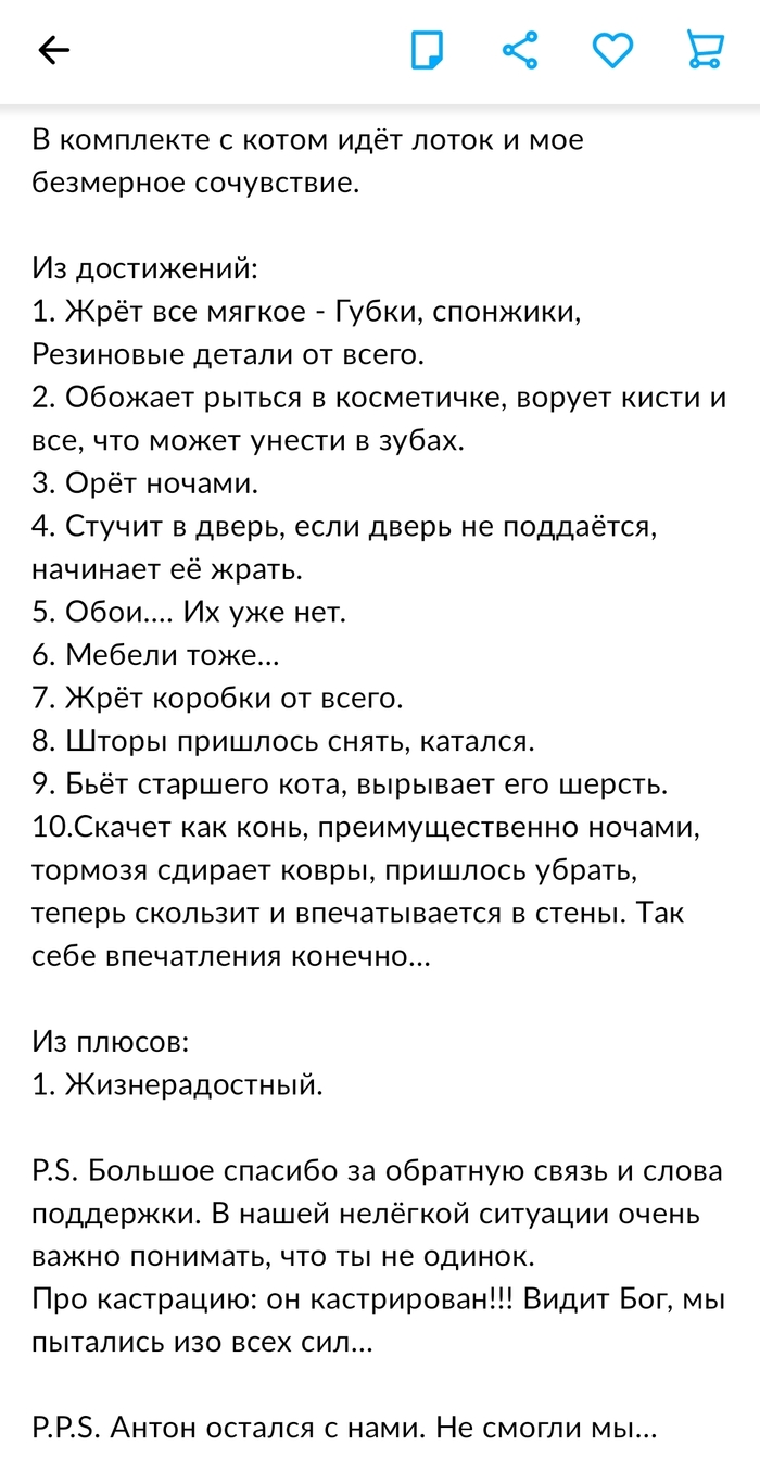 Золотой фонд Авито Авито, Кот, Длиннопост, Объявление на Авито