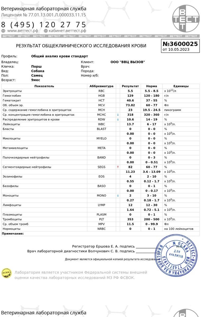 Питомник фон кристин хоф