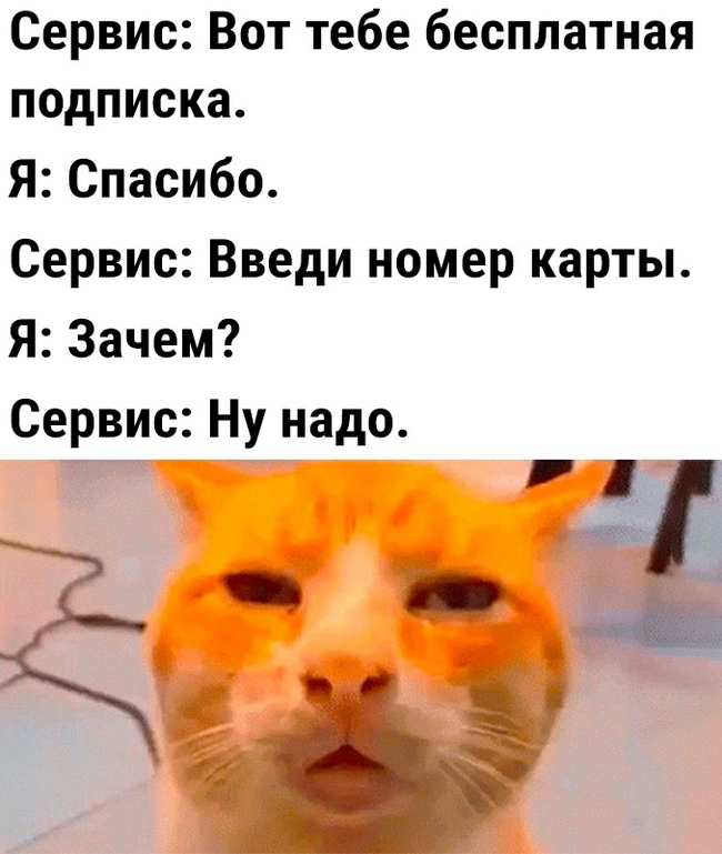 ""    ,   , ,  ,  ,  , 