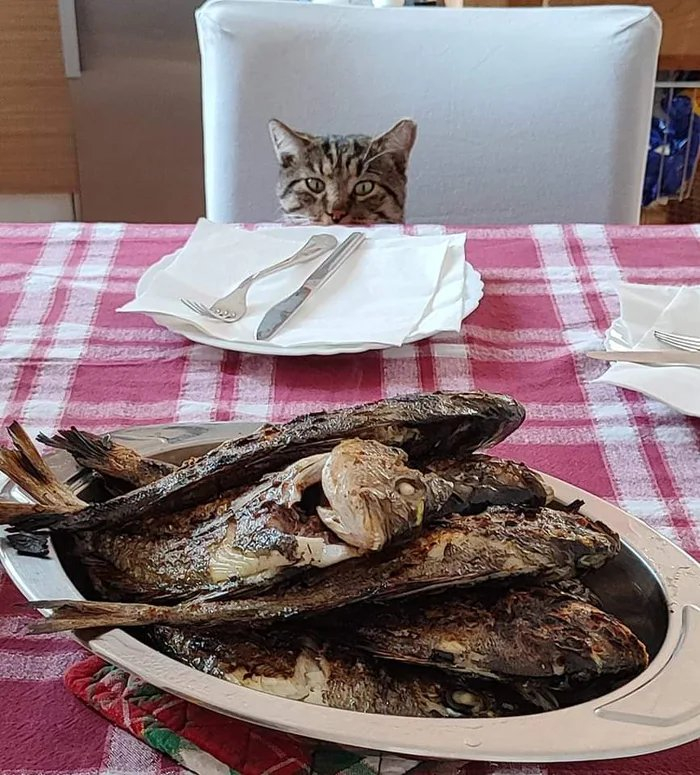      ,  