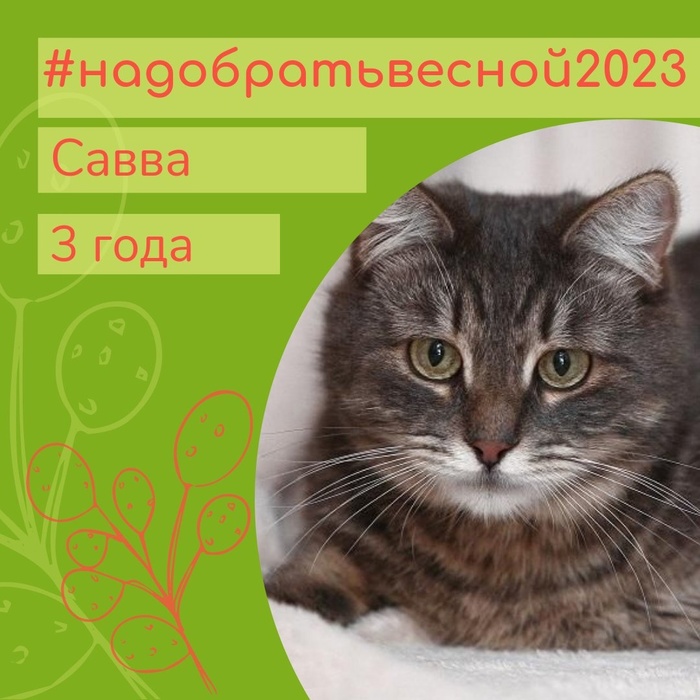 �� � ������ ����� ����� ������� � ������ 28 ���!