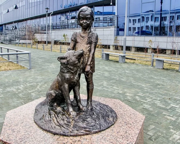 История настоящей дружбы Спасение, Якутск, Длиннопост, Собака История настоящей дружбы Спасение, Якутск, Длиннопост, Собака