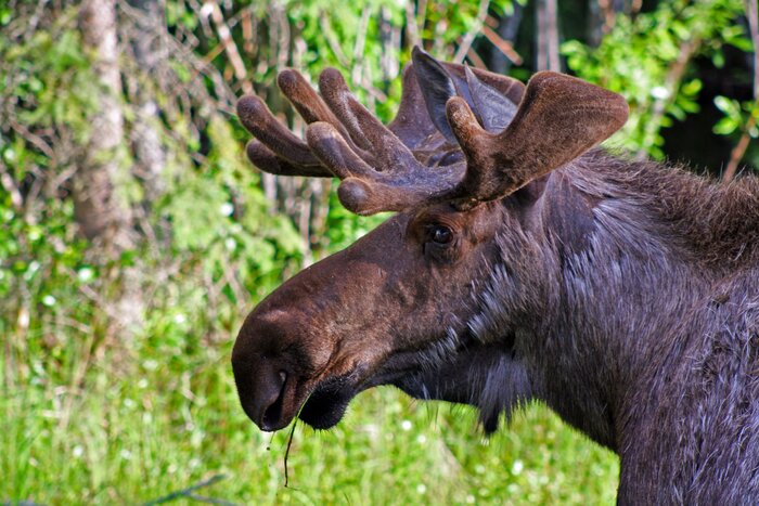 Офень фкусная фетофка