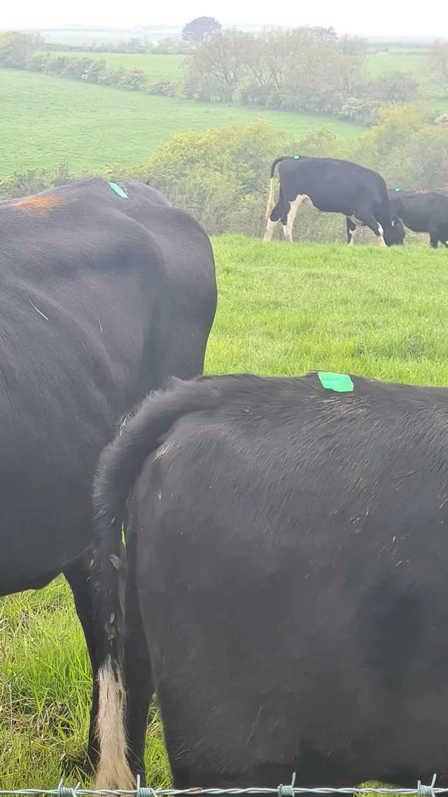 Что это за штука - 180 Reddit, WhatIsThisThing, Перевел сам, Видео, YouTube, Длиннопост Что это за штука - 180 Reddit, WhatIsThisThing, Перевел сам, Видео, YouTube, Длиннопост