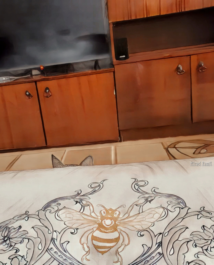 ����� �����