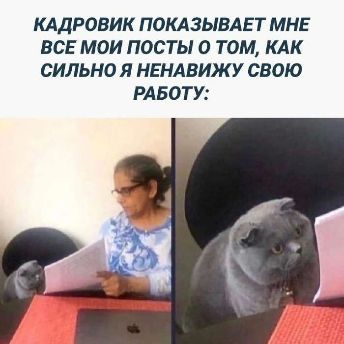  ,   , 