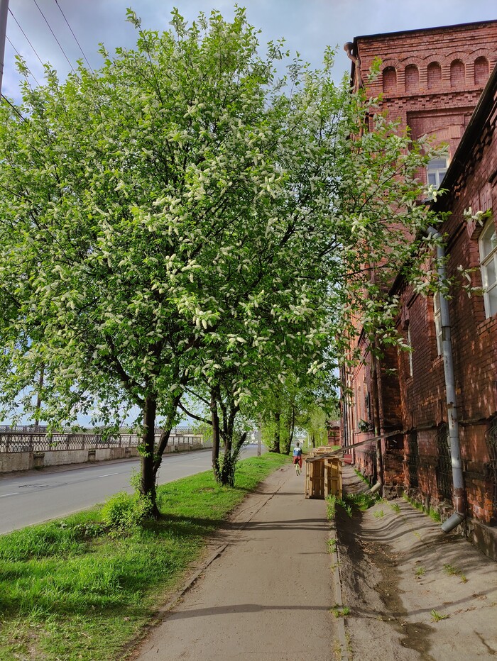 Лето - это маленькая жизнь