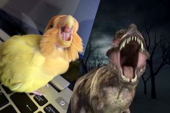 Осторожно, динозавр!