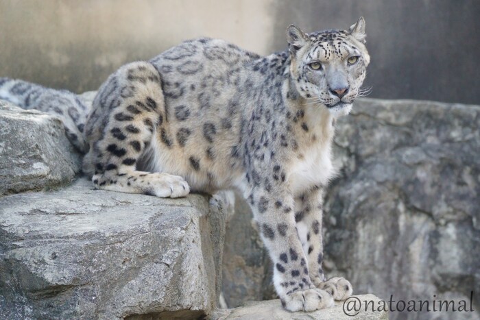 Сидит и стоит одновременно ^_^