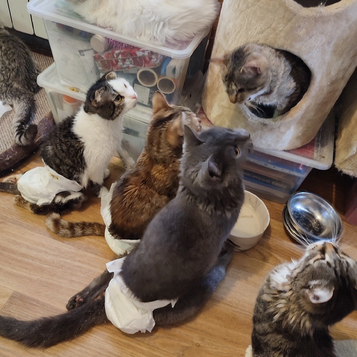 ������� ������� �����?