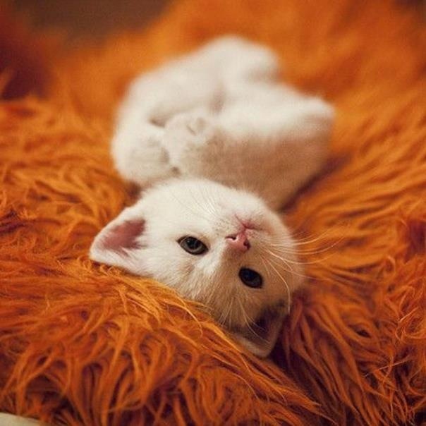 Ждёт тебя с работы