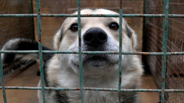 Как действительно выглядит жизнь после 40 Мысли, Старость, Старики, Старпер, Длиннопост