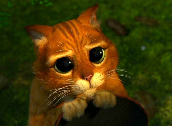 Как действительно выглядит жизнь после 40 Мысли, Старость, Старики, Старпер, Длиннопост