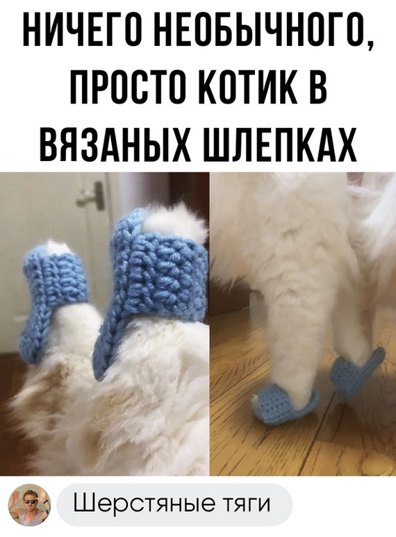 Шлепки | Пикабу