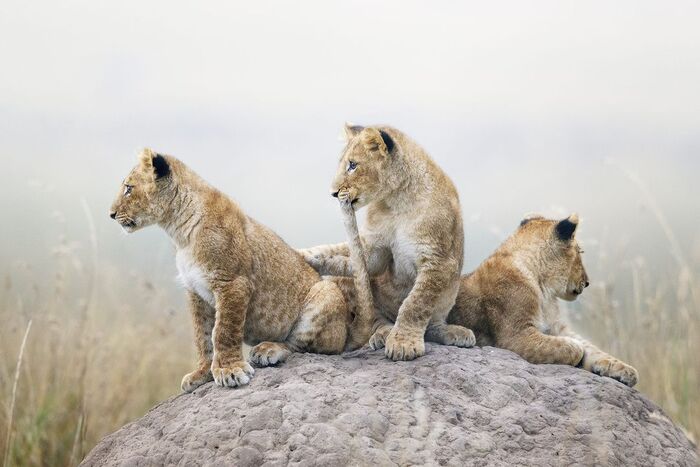 Наигрались