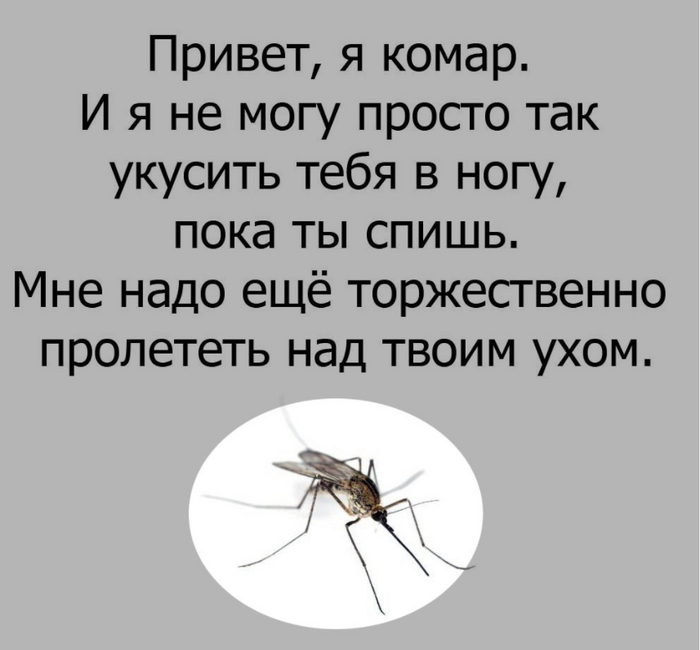 Летний кошмар... | Пикабу