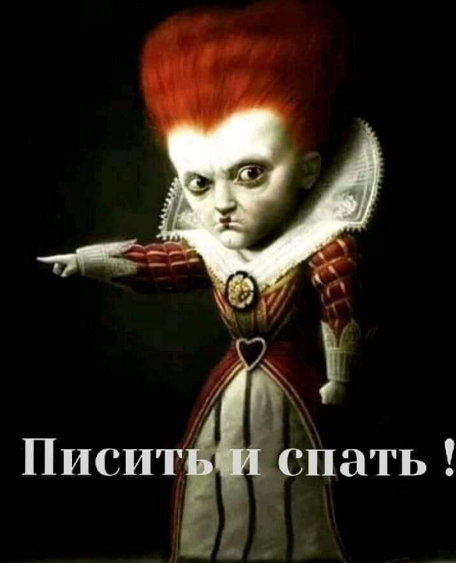 Мой фюрер... | Пикабу