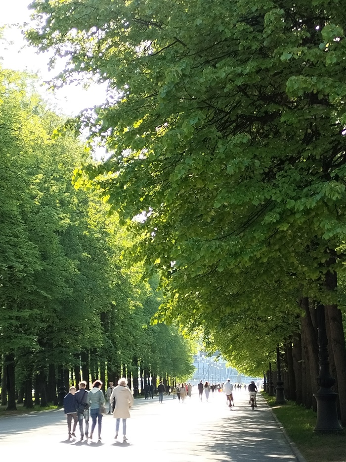 Атмосферно | Пикабу