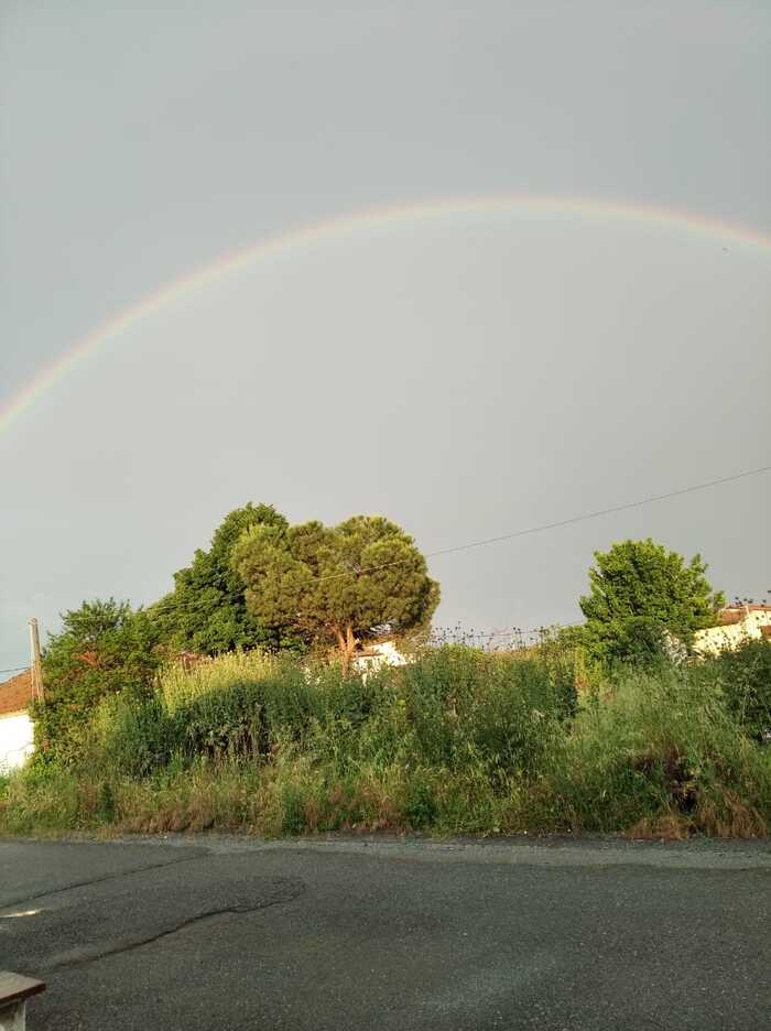 Rainbow , , , , 