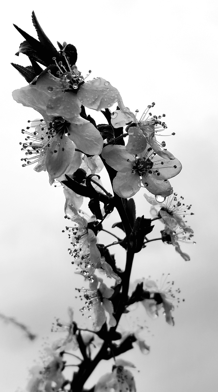 Во время дождя