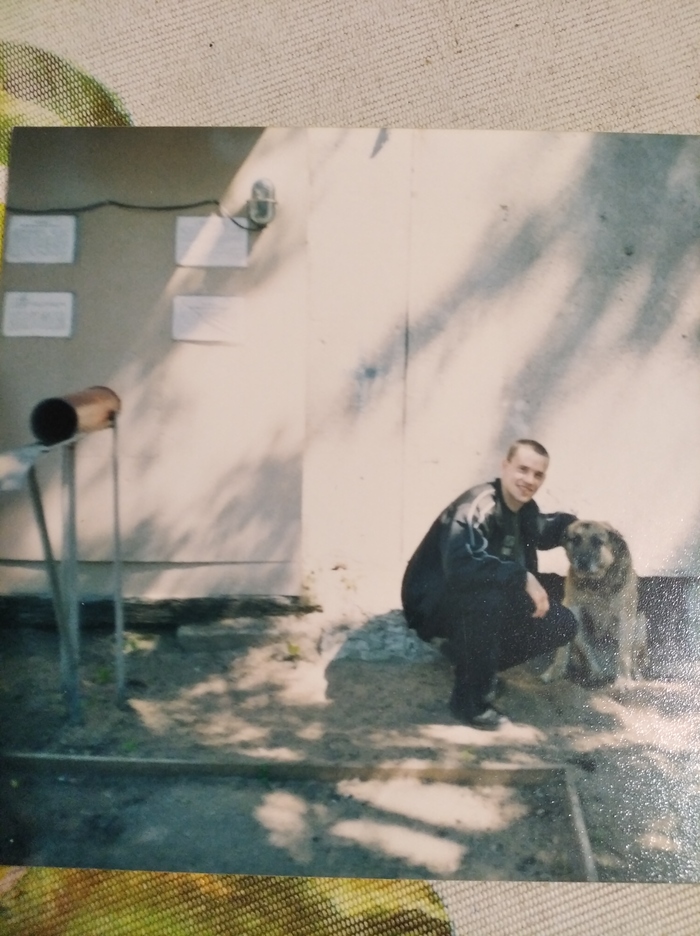 День пограничника