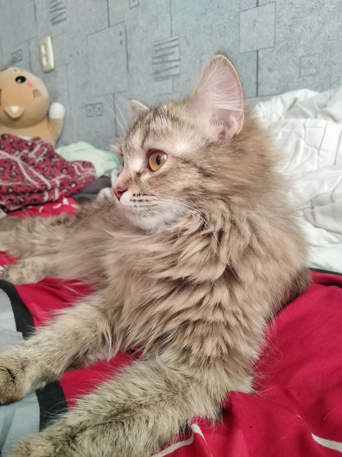 �������