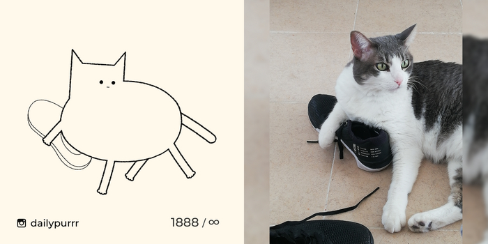 Когда пытаешься спрятать только что созданный туалет