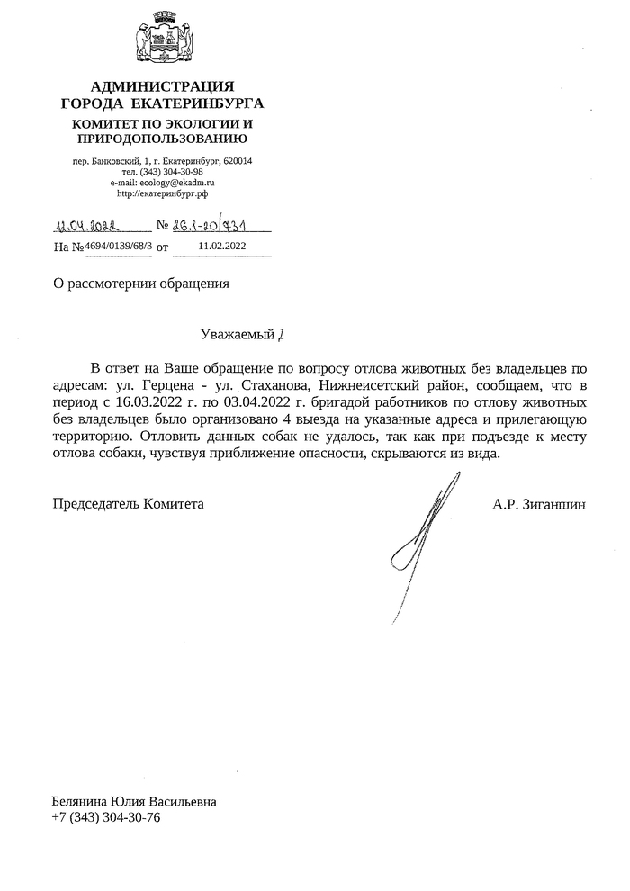Ответ на пост &laquo;В садах под Екатеринбургом стая бродячих собак разодрала женщину&raquo; Бродячие собаки, Нападение собак, Собака, Негатив, Текст, Екатеринбург, Бездействие власти, Ответ на пост, Длиннопост