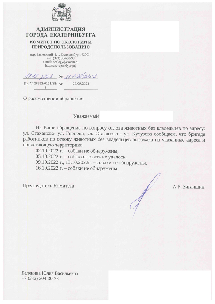 Ответ на пост &laquo;В садах под Екатеринбургом стая бродячих собак разодрала женщину&raquo; Бродячие собаки, Нападение собак, Собака, Негатив, Текст, Екатеринбург, Бездействие власти, Ответ на пост, Длиннопост
