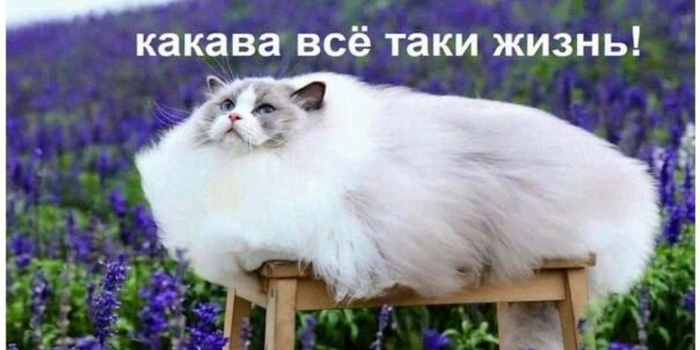      ? , , 