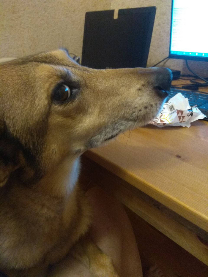 � ���, �������� ��?...