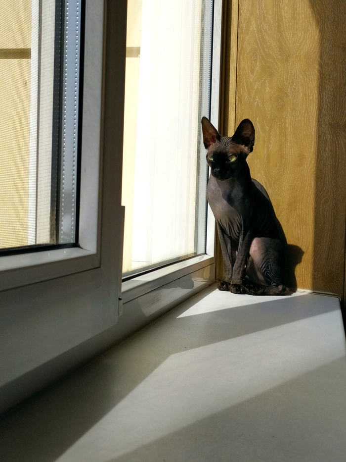 Греемся на солнышке и палим за обстановкой