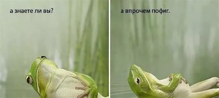 Что сегодня среда, мои чуваки